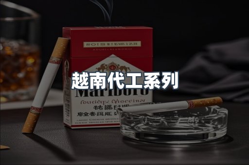 越南代工系列